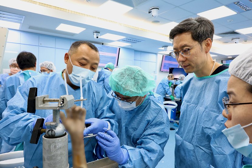 HK Wrist Course 2024 - Workshops  - 161 of 241